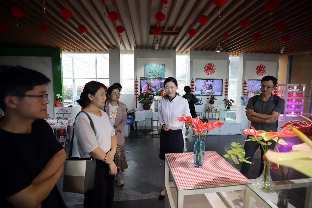 鄉(xiāng)村振興課題（二）丨鄉(xiāng)村振興戰(zhàn)略下的田園綜合體建設(shè)——德泓咨詢走進(jìn)建業(yè)綠色基地