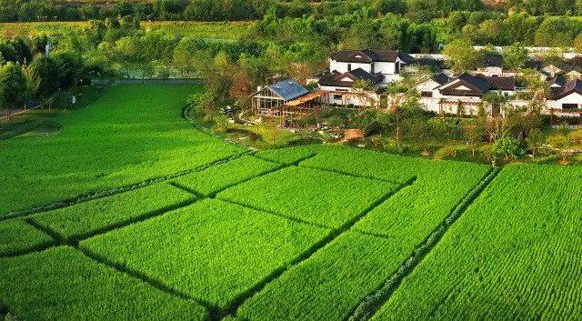 鄉村振興課題（三）丨鄉村振興項目操盤要點之田園綜合體篇——走進成都多利農莊