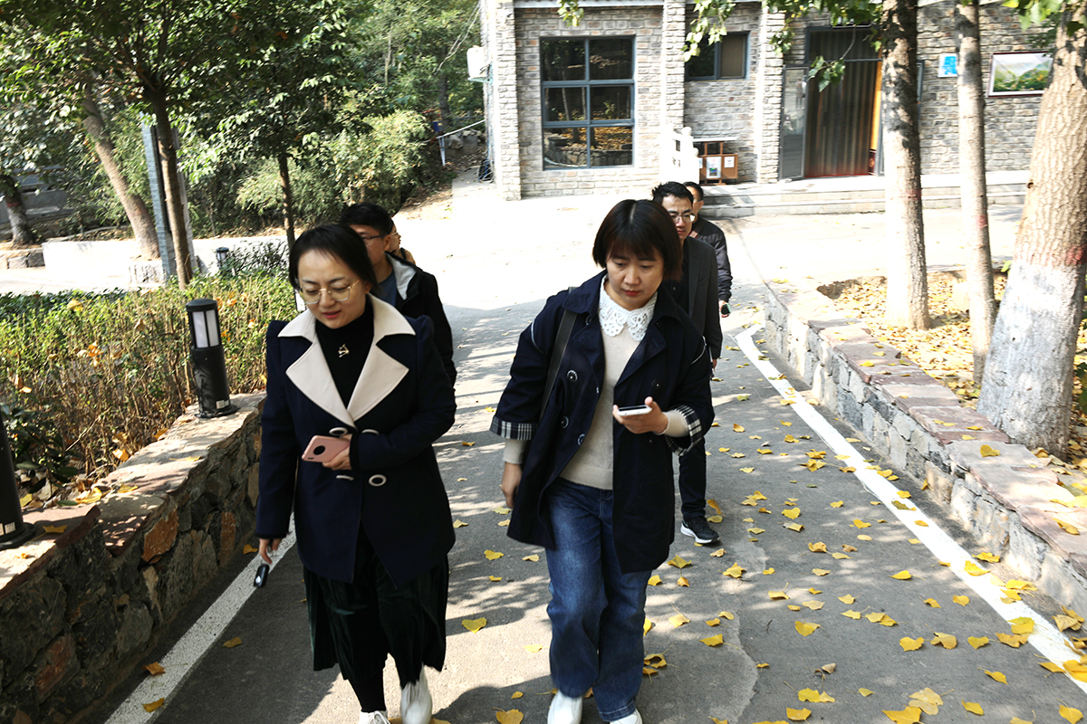 我在桑園小鎮打卡——德泓咨詢走進鶴壁市桑園小鎮