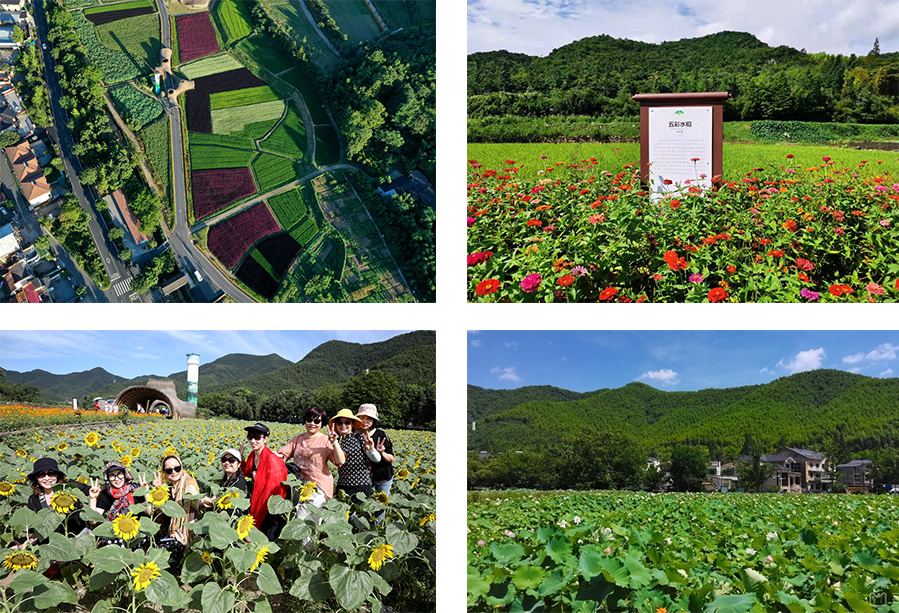 鄉村振興課題（十八） | 鄉村振興標桿項目調研之鄉村旅游系列