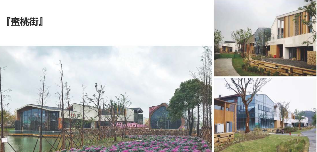 鄉村振興課題 （十）| 鄉鄉村振興項目調研之田園綜合體篇——走進田園東方