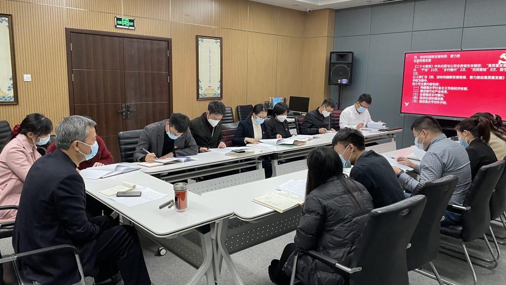 黨建動態 | 德泓咨詢黨支部開展十一月主題黨日活動