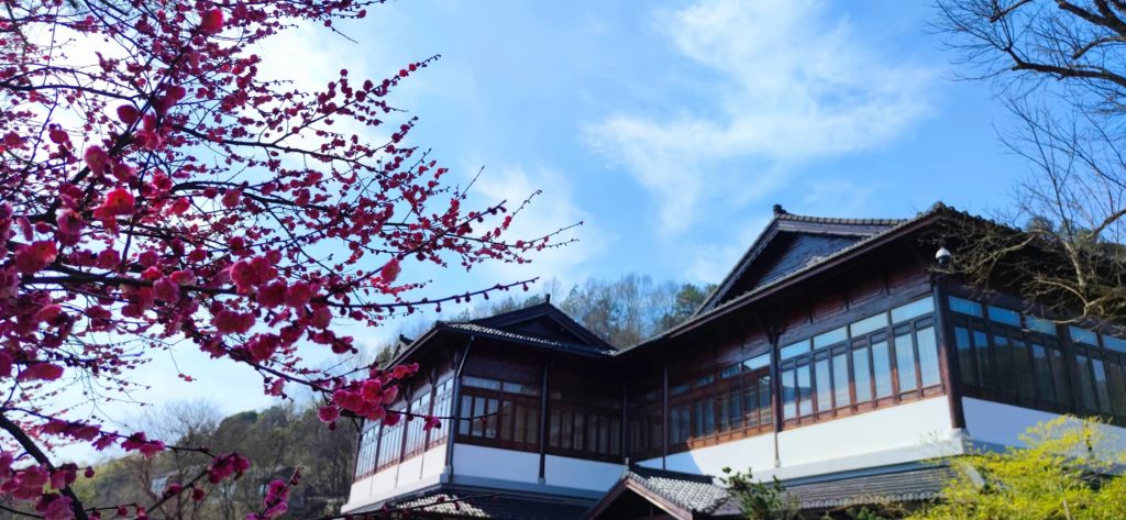 鄉村振興標桿項目游學筆記｜?好風憑借力——以“魯家村”為例，看田園綜合體建設的創新之路