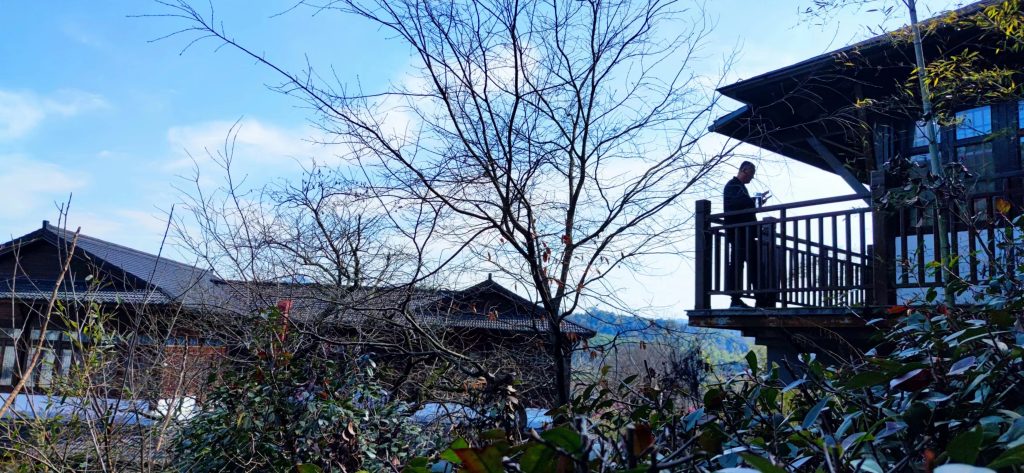 鄉村振興標桿項目游學筆記｜?好風憑借力——以“魯家村”為例，看田園綜合體建設的創新之路