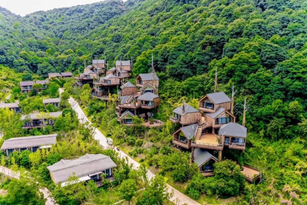 德泓咨詢走進浙江｜鄉村振興標桿項目研學考察
