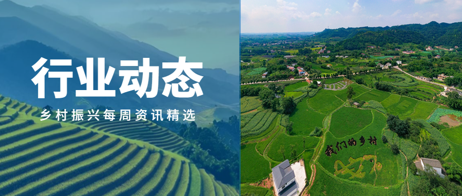 行業動態｜首屆中國鄉村特色優勢產業發展峰會在京開幕；河南成功發行政府債券146.17億元