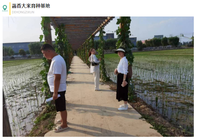 鄉(xiāng)村振興項目調研 | 全國鄉(xiāng)村特色產(chǎn)業(yè)億元村河南省焦作市武陟縣馬宣寨村
